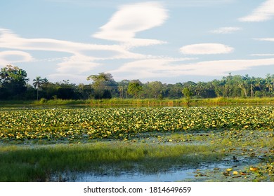 低湿地 Images Stock Photos Vectors Shutterstock