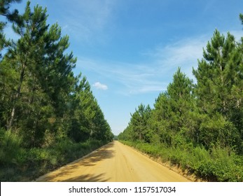 Lowndes County GA Dirt Road