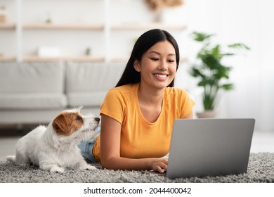 Loyal Dog Looking At Its Female Owner Using Laptop At Home, Jack Russel Terrier Puppy Laying By Happy Young Asian Woman Chatting With Friends, Watching Movie Online, Pet And Human Concept, Copy Space