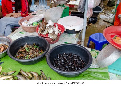 Luang Namtha, Lao - 09/04/2016: Exotic Wet Market In Lao Town Selling Toad And Bug