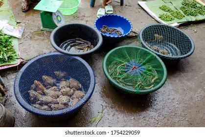 Luang Namtha, Lao - 09/04/2016: Exotic Wet Market In Lao Town Selling Live Animals And Toad Meat