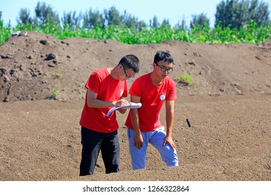 Luannan County - August 24, 2018: Two College Students Are Measuring Aerobic Composting Temperature, Luannan County, Hebei Province, China