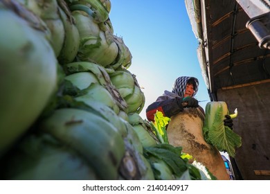 LUANNAN COUNTY, China - December 29, 2021: Farmers Take Care Of Chinese Cabbage Loading And Outward Transportation At A Vegetable Acquisition Site In North China