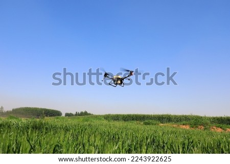 LUANNAN COUNTY, China - May 16, 2022: farmers use plant protection UAVs to spray pesticides on wheat, North China