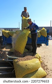 LUANNAN COUNTY, China - September 22, 2021: Workers Work Hard On The Peanut Processing Line, North China