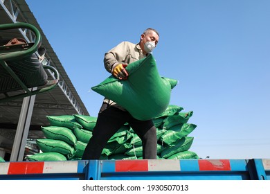 LUANNAN COUNTY, Hebei Province, China - March 17, 2020: The Workers Are Loading Feed In A Processing Plant.