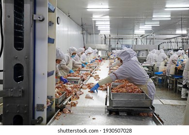 LUANNAN COUNTY, Hebei Province, China - March 17, 2020: The Workers Are Busy In A Modern Broiler Processing Factory On The Production Line Of Broiler Segmentation.