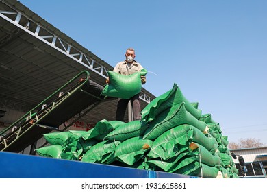 LUANNAN COUNTY, Hebei Province, China - March 17, 2020: The Workers Are Loading Feed In A Processing Plant.