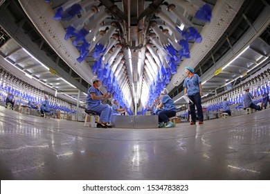 Luannan County - May 10, 2019: Workers Are Busy On The Nitrile-butadiene Glove Production Line In The Factory, Luannan County, Hebei Province, China.