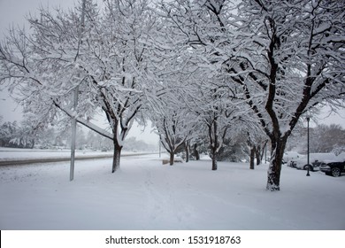 Lubbock, Texas Covered In Snow