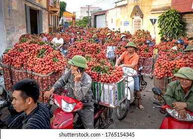 Luc Ngan District, Bac Giang Province, Vietnam - July 10, 2020: Farmers Harvest Litchi Fruits And Transport Them By Motorbike For Sale At The Market