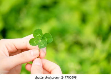 Lucky Clover