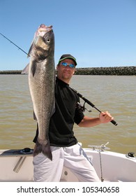 Lucky  fisherman holding a big sea bass