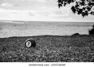 Lucky Number Seven, Ball In The Grass