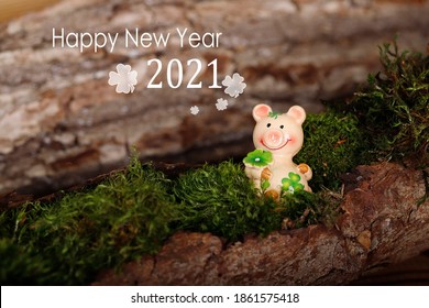lucky pig in the moss for good wishes in german text  who means happy new year
