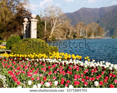 Lugano, Switzerland: Flowered Ciani Park and view of the Gulf of Lugano Zdjęcia stock © 