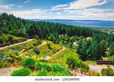 Luge Track And Panoramic View Of Rotorua Town, New Zealand