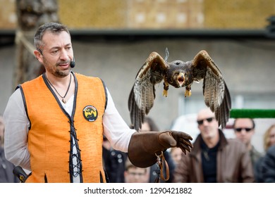 Lugo, Galicia/Spain - April 02 2018: Falconry Show At The Medieval Fair