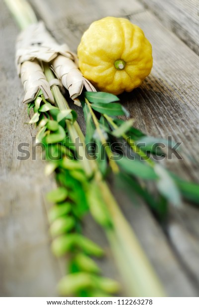 Lulav Etrog Symbols Jewish Festival Sukkot 库存照片（立即编辑）112263278