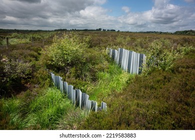 Lullymore, Co. Kildare, Ireland, 07-11-2019. Drain Blocking Using Plastic Panels To Restore Peatland Health Has Been Successfully Applied To The Bog Of Allen.