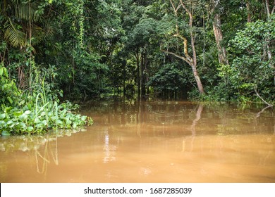 The Lulua river in the Democratic Republic of Congo