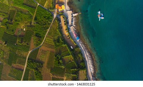 Lumbarda Wine Region On Korcula Island In Croatia. 