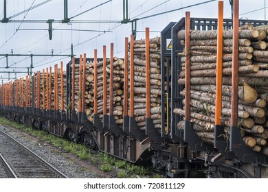 Lumber Freight Train Cars.