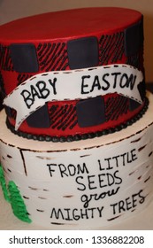 Lumber Jack Themed Baby Shower Cake That Is Two Tier