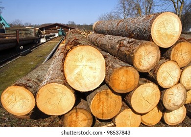 Lumber mill