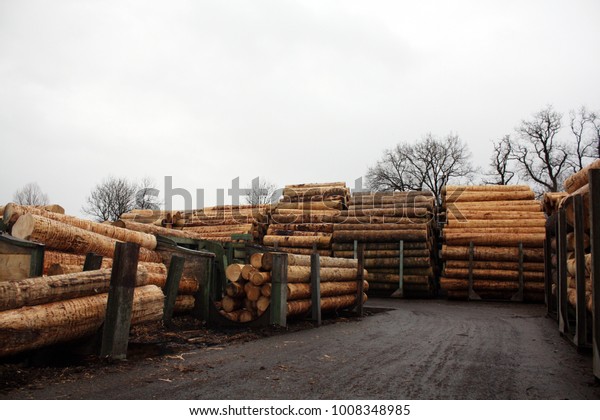 Lumber Round Timber Spruce Pine Larch Stock Photo Edit Now