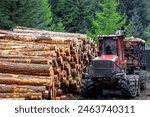 Lumber in Snake woodlands, a great forest to explore, just along the Peak District