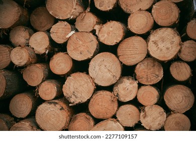 Lumber stored in stacked piles in forest. Close up of wooden logs sorted. - Powered by Shutterstock