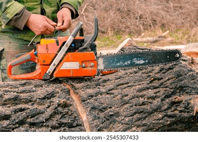 Lumberjack adjusts manually or fixing professional chainsaw placed on freshly cut stump of tree in forest, lumber texture, wooden, hardwood, firewood. - Powered by Shutterstock