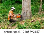 Lumberjack Arborist Felling Large Tree With Chainsaw in Forest