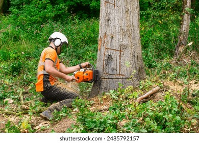 Lumberjack Arborist Felling Large Tree With Chainsaw in Forest - Powered by Shutterstock