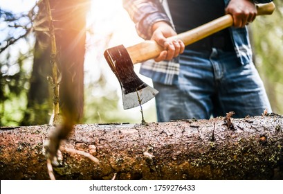 Lumberjack in checkered shirt chops tree in forest with sharp ax, Detail of axe. - Powered by Shutterstock