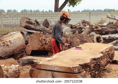 Lumberjack cleaning the surface of tree trunk from sawdust after cutting. Timber material processing and cutting at sawmill