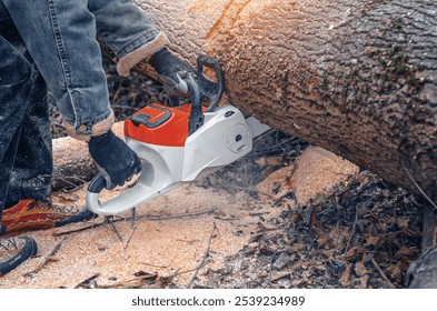 Lumberjack Cutting Fallen Tree with Electric Chainsaw - Powered by Shutterstock