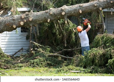 Lumberjack Cutting Tree. Man Cutting Trees Using An Electrical Chainsaw.  Lumberjack. Cutting Tree. Electrical Chainsaw. Home Insurance. Insurance Storm.Storm Damage.Roof Damage. Tree Down.