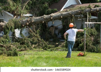 Lumberjack Cutting Tree. Man Cutting Trees Using An Electrical Chainsaw. Lumberjack. Cutting Tree. Electrical Chainsaw. Home Insurance. Insurance Storm.Storm Damage.Roof Damage. Tree Down.