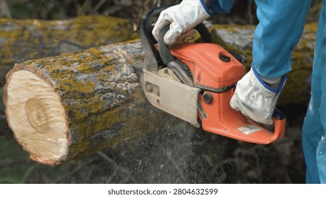 Lumberjack. Forestry worker cutting tree with chainsaw - slowmotion video