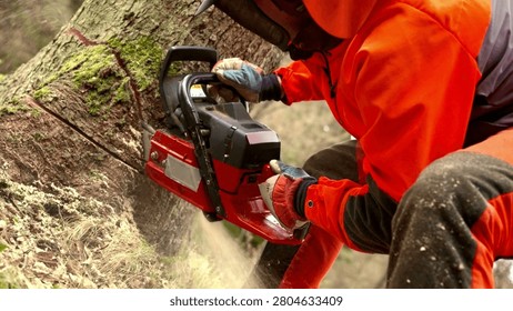 Lumberjack. Forestry worker cutting tree with chainsaw - slowmotion video