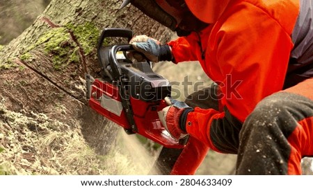 Lumberjack. Forestry worker cutting tree with chainsaw - slowmotion video