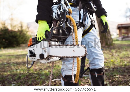 Similar – Arborist with tools in the wind