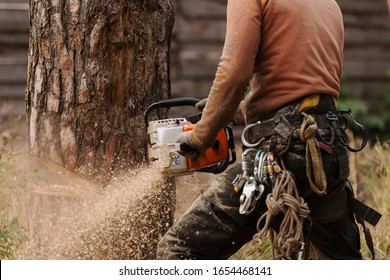 Lumberjack logger worker in protective gear cutting firewood timber tree in forest with chainsaw - Powered by Shutterstock