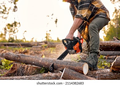 Lumberjack logger worker in protective gear cutting firewood timber tree in forest with chainsaw. caucasian male in plaid shirt engaged in hard work in forest at summer evening. Cropped wood man - Powered by Shutterstock