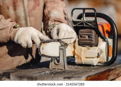 Lumberjack Sharpening Chain Teeth For Chainsaw, Concept Sawmill Wood.