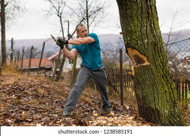 Lumberjack worker chopping down a tree breaking off many splinters in the forest with big axe. - Powered by Shutterstock