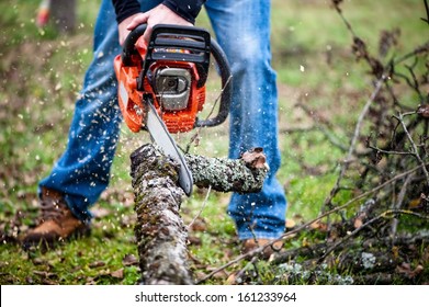 Lumberjack worker in full protective gear cutting firewood in forest with a professional chainsaw - Powered by Shutterstock