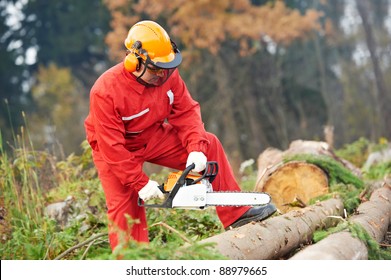 Lumberjack Worker In Protective Safety Work Wear With Chainsaw At Forest